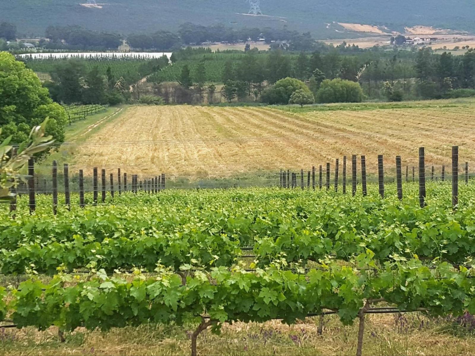 Lemberg Wine Estate Villa Tulbagh Bagian luar foto